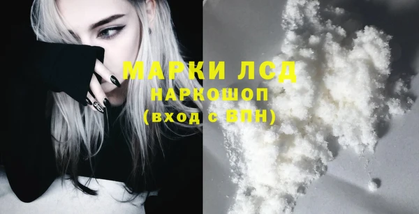 гашик Алексин