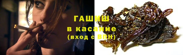 стаф Алзамай