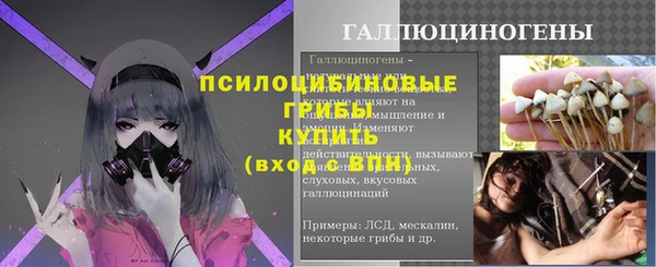 гашик Алексин