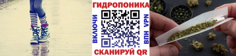 Конопля SATIVA & INDICA  наркошоп  Приморско-Ахтарск 